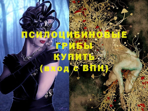 2c-b Балабаново